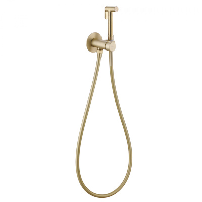 ABBER Wasser Kreis AF8125G с гигиеническим душем, золото матовое