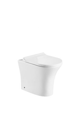 Ceruttispa Bernina F CT7842