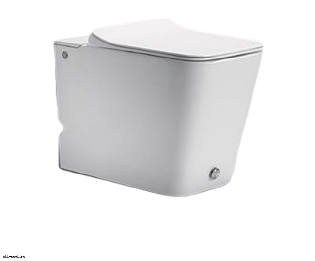 Ceruttispa Disgrazia Pulse CT7269 с функцией импульсного смыва