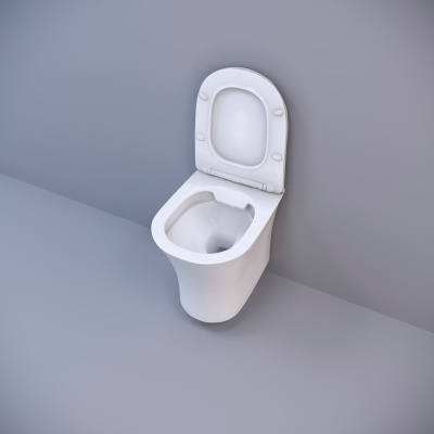 Ceruttispa Bernina Aria CT7191