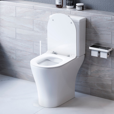 Damixa Sirius DX86C8600SC с бачком и сиденьем Микролифт