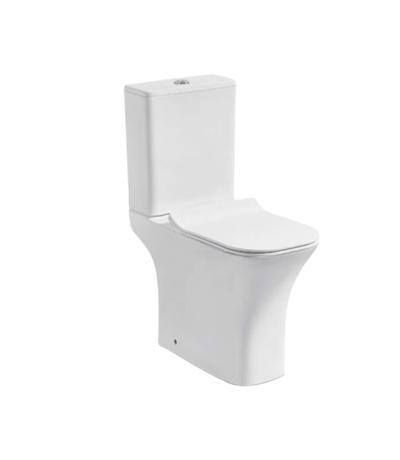 Ceruttispa Vettore CT7192