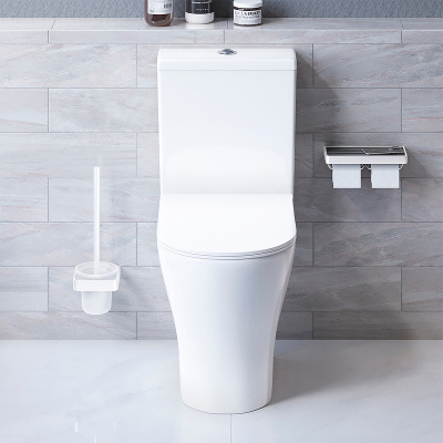 Damixa Sirius DX86C8600SC с бачком и сиденьем Микролифт