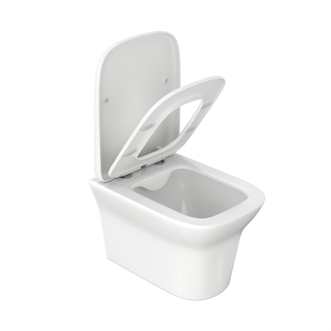 Ceruttispa AMI Aria подвесной безободковый CT8780 (500x360x350)