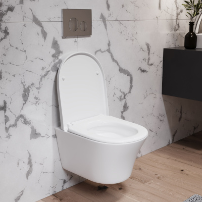 Damixa Skyline DX35C1700SC с микролифтом